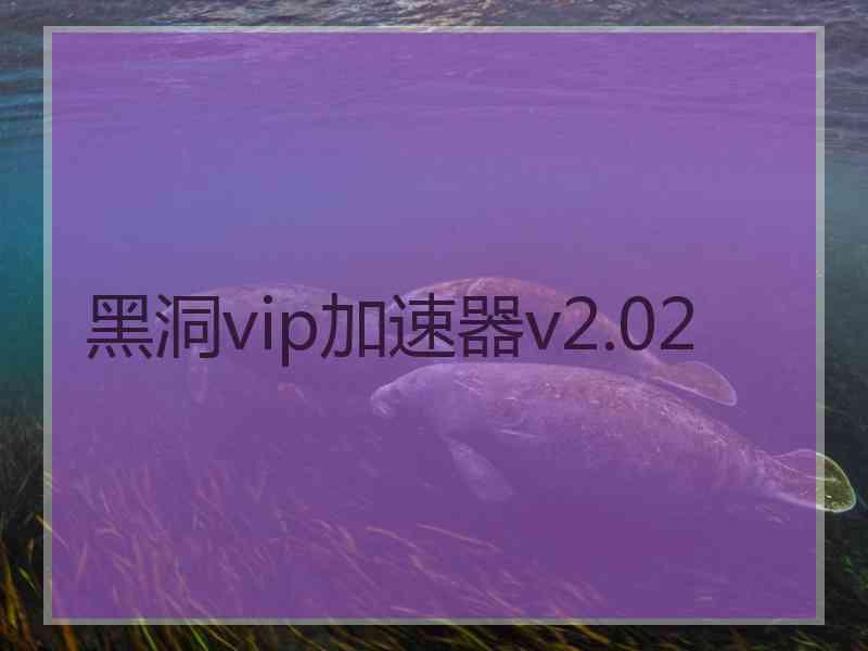 黑洞vip加速器v2.02