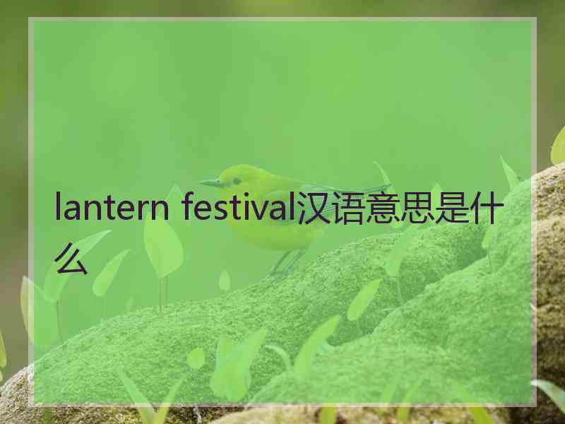 lantern festival汉语意思是什么
