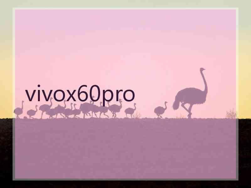 vivox60pro